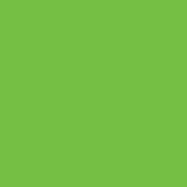Parrot Green 9012